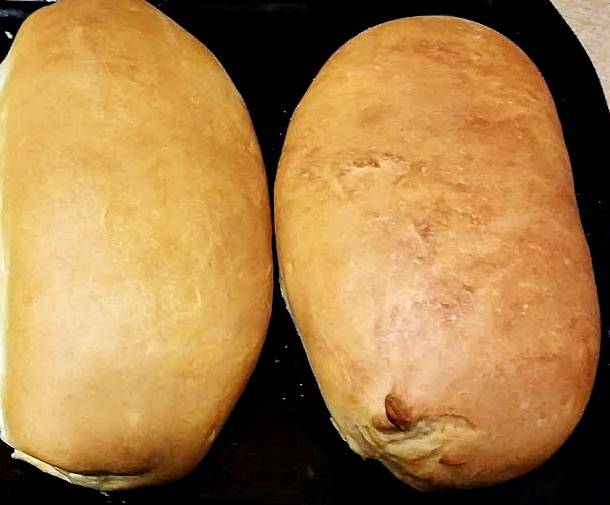 Home Made Antigua Bread